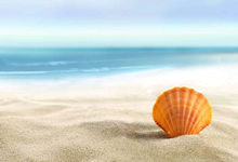 快捷方式的使用方法