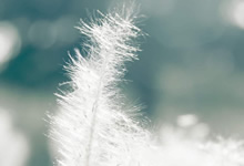 品优购代码规范